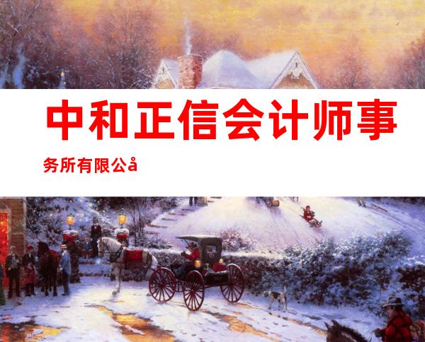中和正信会计师事务所有限公司深圳分所