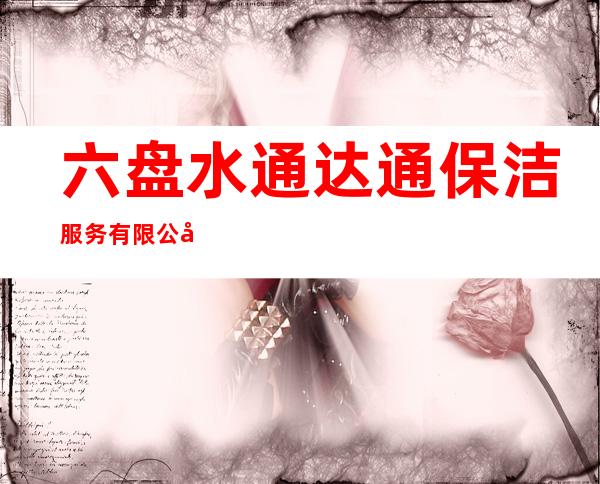 六盘水通达通保洁服务有限公司